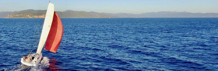 Plano general de mar azul con poca marejada y cielos despejado, con la costa en el horizonte. En primer plano a la izquierda, avanza un velero con un spinnaker rojo.