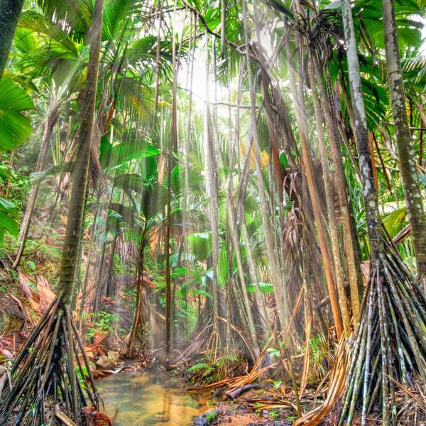 La Reserva Natural del Valle de Mai