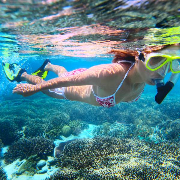 Vive momentos inolvidables durante las excursiones terrestres