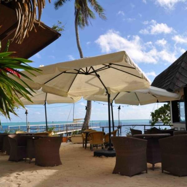 El bar y sus cocteles locales