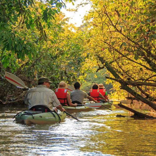 Explora el río a bordo de canoas y kayaks