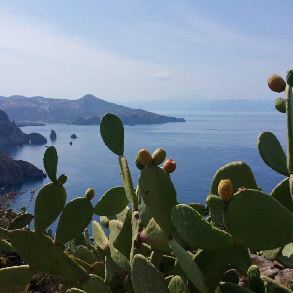 Descubre paisajes inolvidables