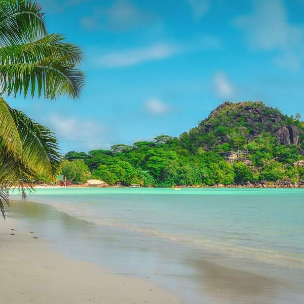 Praslin y sus incontables palmeras