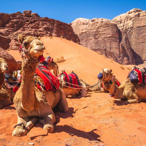 El impresionante desierto de Wadi Rum