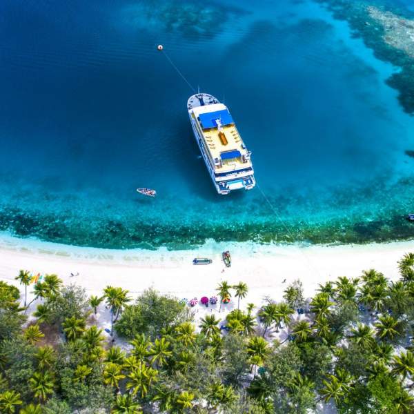 Un convivial crucero en un paisaje ideal