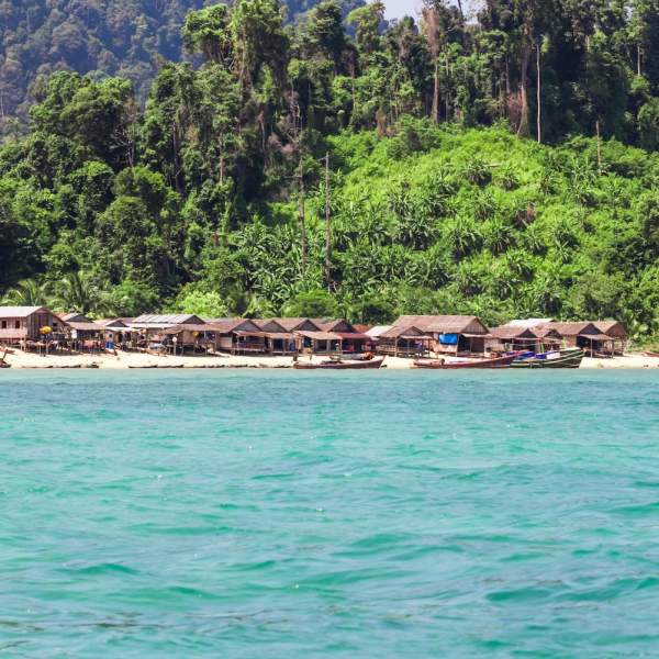 Visita islas salvajes y vírgenes