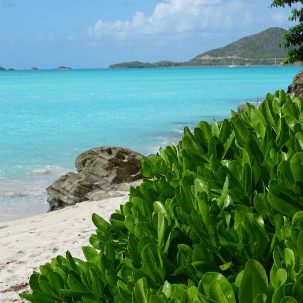 ¿Listo para ir al Caribe?