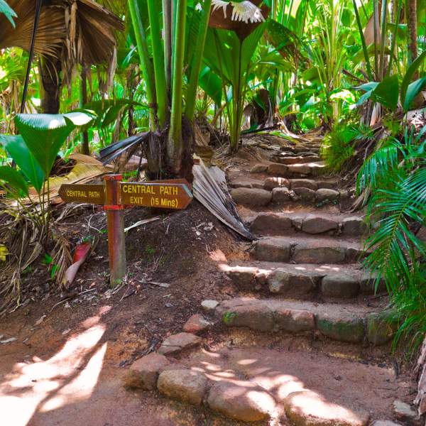 Bienvenidos a la Vallée de Mai