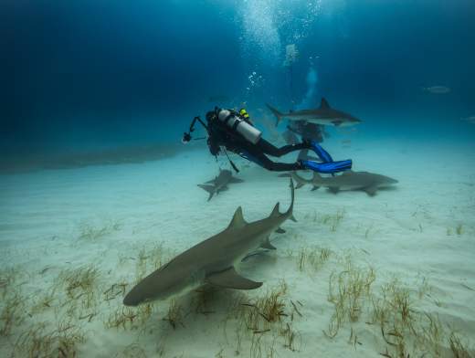 Crucero de buceo en las Bahamas