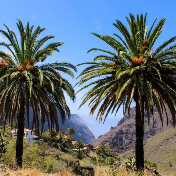 Paisajes de la isla de Tenerife