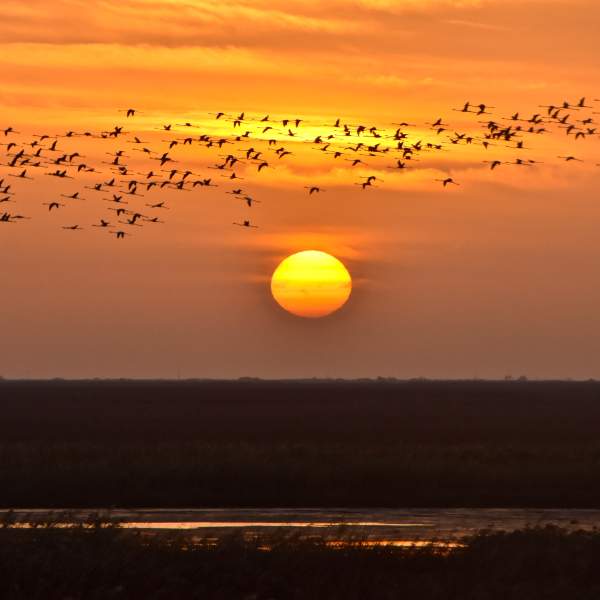 Disfruta de fabulosas puestas de sol