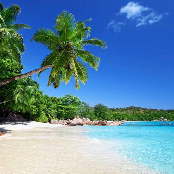 La playa Anse Lazio