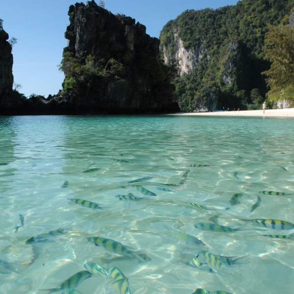 Koh Hong