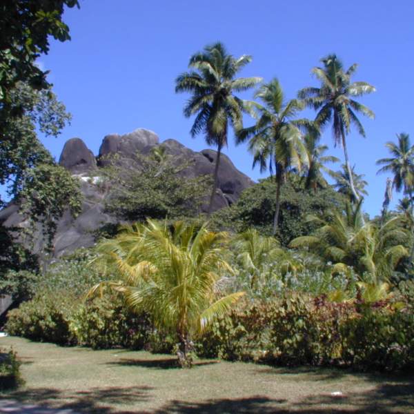 Valle de Mai