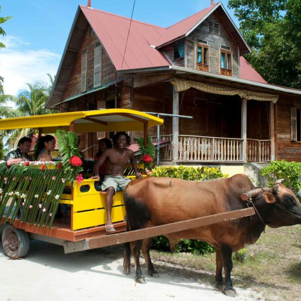 Carro tirado por buey