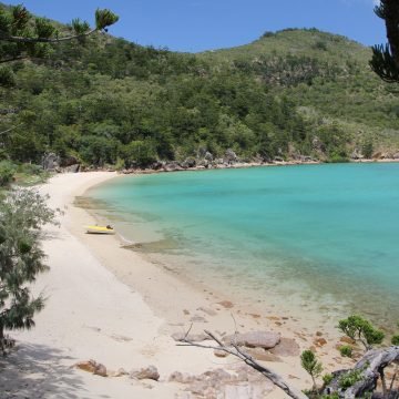Día 5 : Cateran Bay - Butterfly Bay